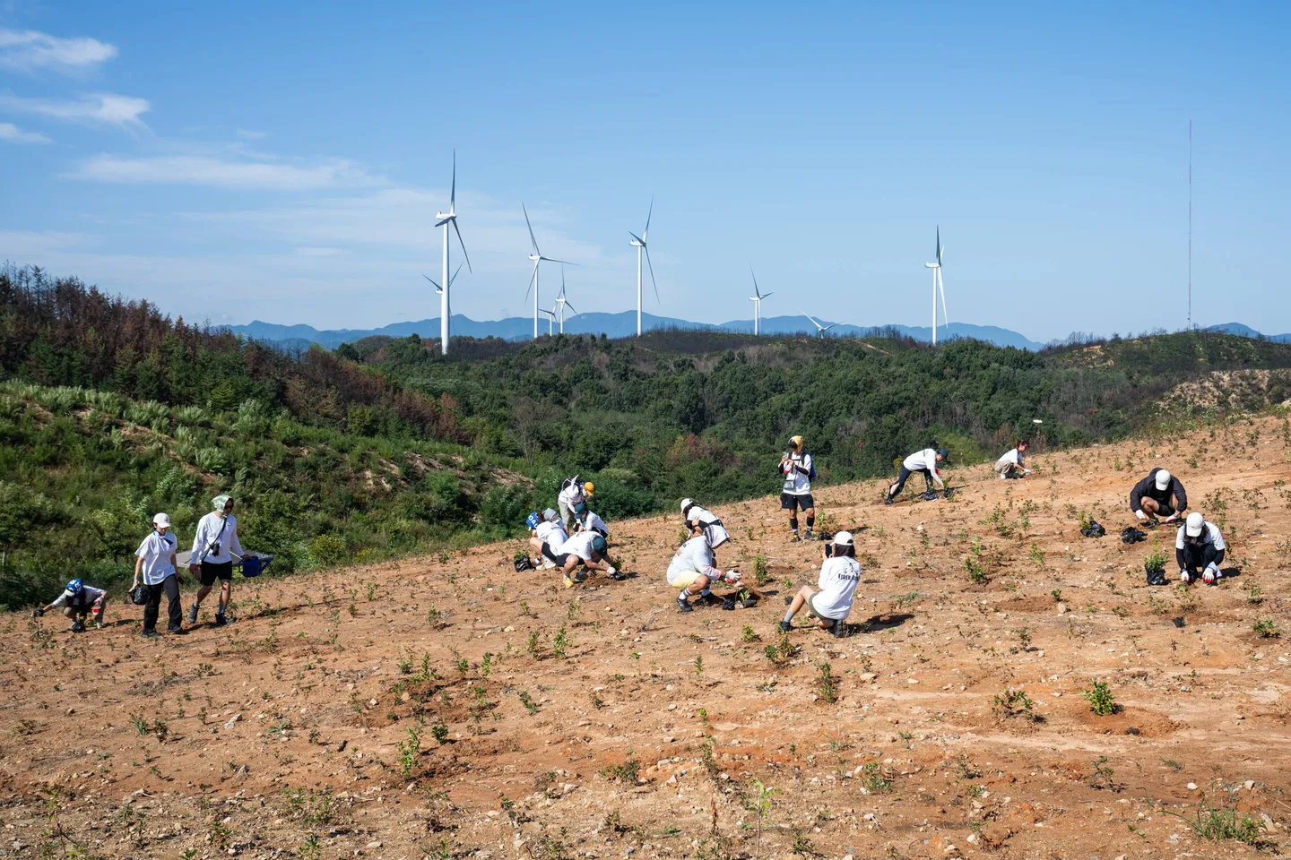 2025년 후기 3번 이미지